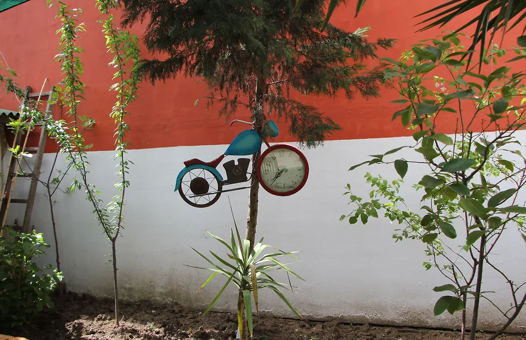 Limon Hostel-1